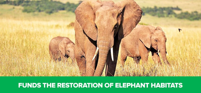 Phoenexia - Geometric Adjustable Elephant Necklace - Save Elephants From Extinction