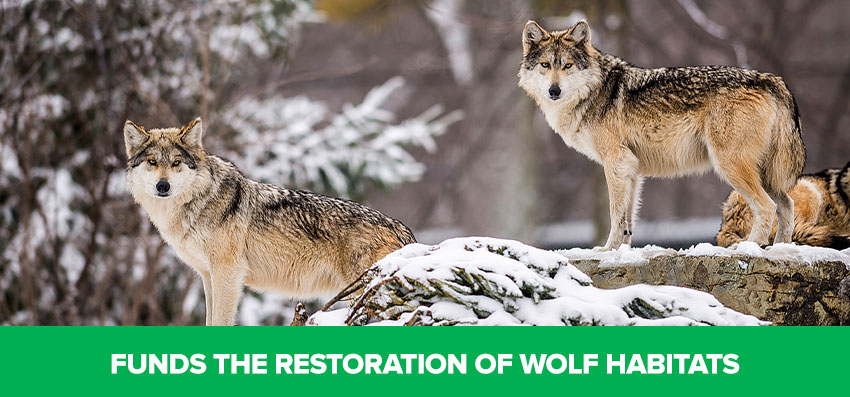 Phoenexia - Geometric Adjustable Wolf Bracelet - Save Wolves From Extinction!