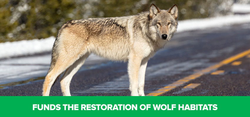 Phoenexia - Geometric Adjustable Wolf Bracelet - Save Wolves From Extinction!