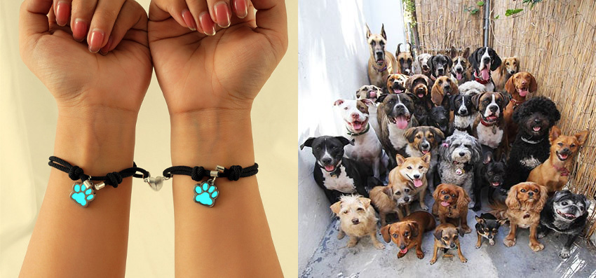 Phoenexia - Magnetic Dog Paw Bracelet-Set For Couples & Friends - Provides Food & Shelter For Dogs In Need