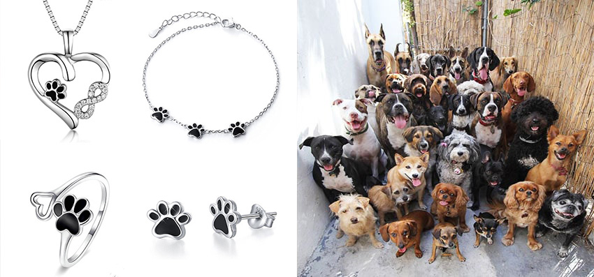 Phoenexia - 925 Sterling Silver Dog Paw Jewelry - Provides Food & Shelter For Dogs In Need